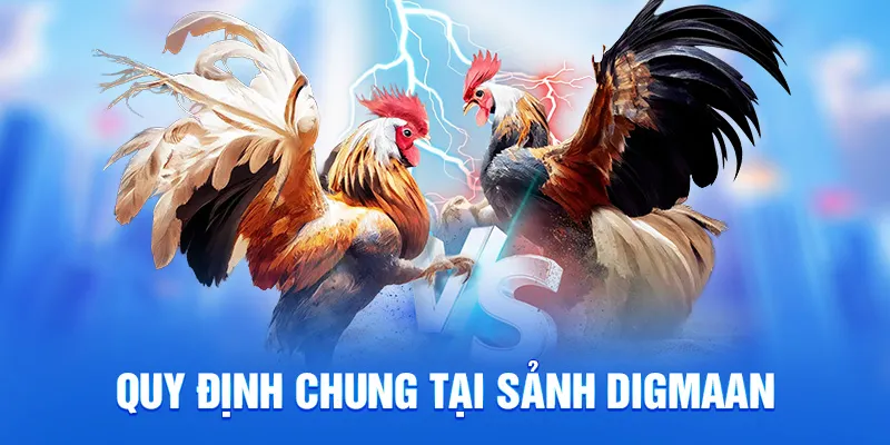 Quy tắc thi đấu tại sảnh digmaan